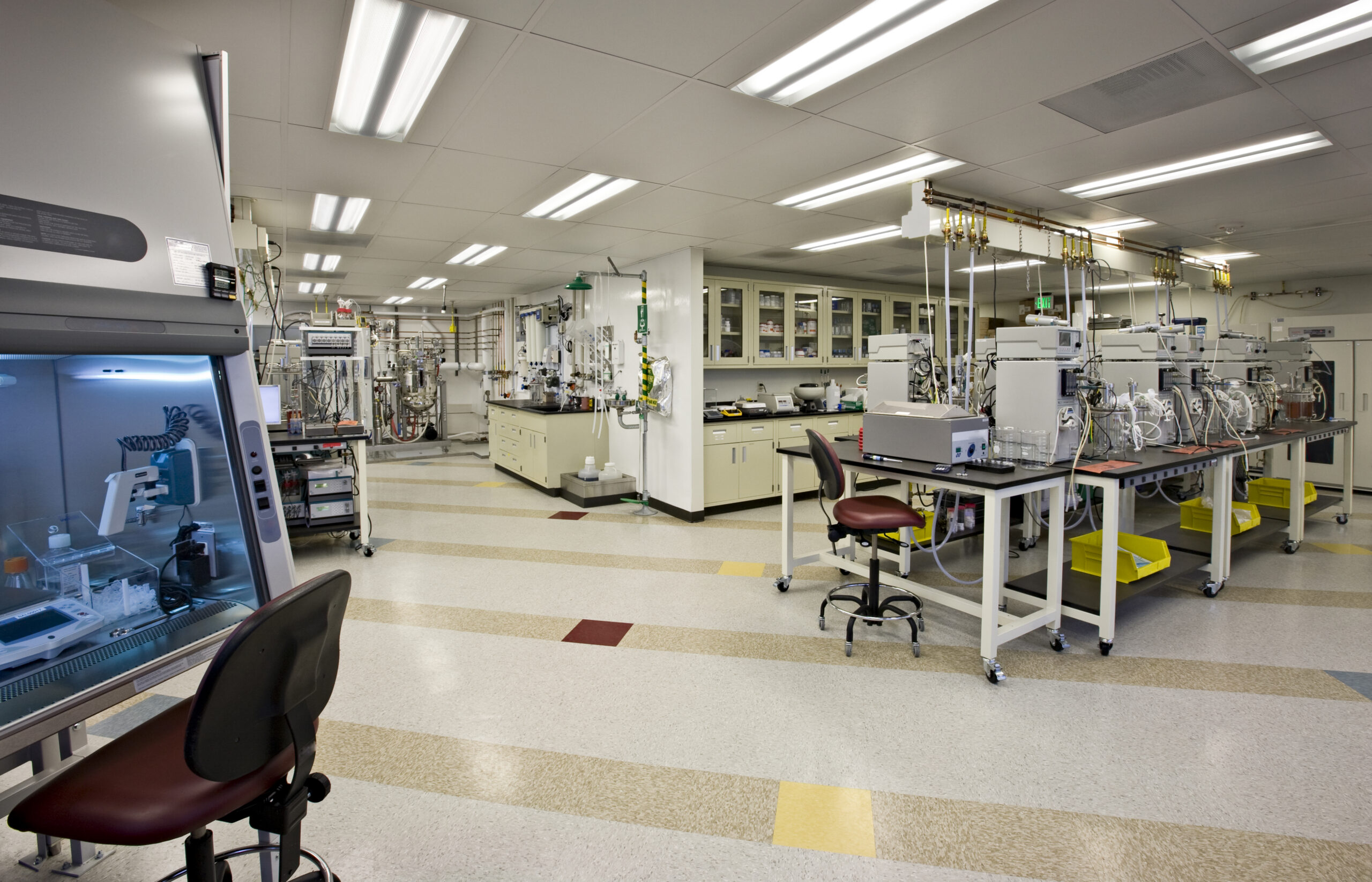 Cell Design Basics Laboratory with multiple work areas using cell design basics.